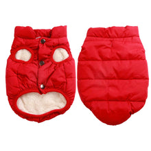 Carica l&#39;immagine nel visualizzatore di Gallery, JoyDaog, giacca per cani, a 2 strati, foderata in pile, super calda e molto... - Ilgrandebazar