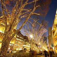 Carica l&#39;immagine nel visualizzatore di Gallery, Stringa Luminosa Solare, ALED LIGHT 2 pacchi 15m / 49ft 300 LED 8 Modalità...