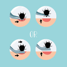 Carica l&#39;immagine nel visualizzatore di Gallery, 6