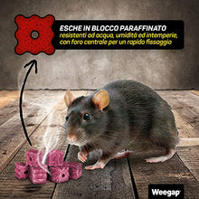 Carica l'immagine nel visualizzatore di Gallery, Veleno per Topi e Ratti, Esca Topicida Ratticida Professionale Potente, Novità Aroma all'Anice, Uso Esterno Interno Casa, Disinfestazione Rimedi Eliminare Roditori Azione Forte BlockRat - 300 g