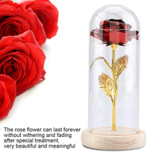 Carica l&#39;immagine nel visualizzatore di Gallery, Duokon Luce a LED Fiore Rosa conservata con Coperchio in Vetro e Base Rosso - Ilgrandebazar