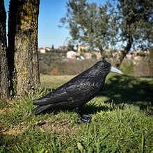 Carica l&#39;immagine nel visualizzatore di Gallery, Blossom Design Corvo Scacciapiccioni 2a Generazione Spaventapasseri...
