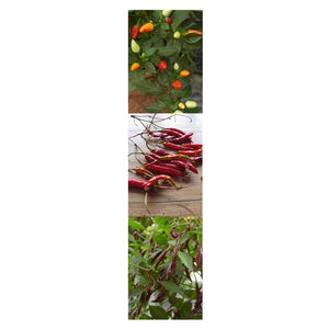 Magic Garden Seeds Peperoncini Thai - Set di Semi Regalo con 3 varietà... - Ilgrandebazar