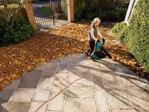 Bosch Home and Garden 06008A1000 Aspiratore Soffiatore, 300km/h, 800 m3/h,... - Ilgrandebazar