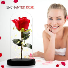 Carica l&#39;immagine nel visualizzatore di Gallery, ASANMU Kit di Rose La Bella e Bestia, Petali Rosa Elegante Cupola di... - Ilgrandebazar