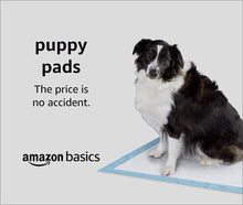 Carica l'immagine nel visualizzatore di Gallery, Amazon Basics - Tappetini igienici assorbenti per animali domestici, misura standard, 100 pz Pacco da 100 Regular Single