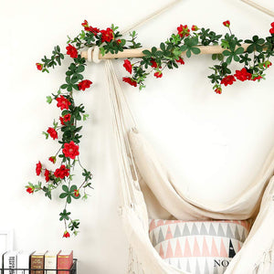 JUSTOYOU Rose Murraya paniculata Ghirlanda Finto Paniculata- Red - Ilgrandebazar