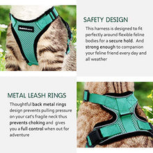 Carica l'immagine nel visualizzatore di Gallery, rabbitgoo Pettorina per Gatti con XS(Collo:22-28cm Petto:25-51cm), Verde