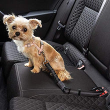 Carica l&#39;immagine nel visualizzatore di Gallery, ECENCE 1x Cintura di Sicurezza per Cani Auto cintura sicurezza - Ilgrandebazar
