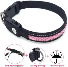Carica l&#39;immagine nel visualizzatore di Gallery, MASBRILL LED Collare di Cane USB Ricaricabile Sicurezza Lampeggiante Collare di Cane di Base Fibbia Regolabile Mesh Tessitura Fibra Ottica Piatta a Prova di Cane LED Collare Collana per Cane