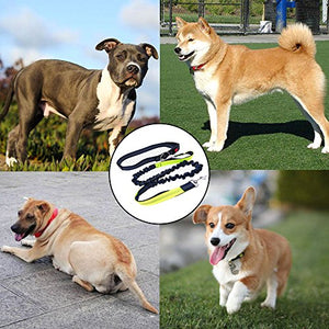FULARR Guinzaglio a Mani Libere per Cani, Jogging, Cintura in... - Ilgrandebazar