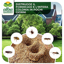 Carica l&#39;immagine nel visualizzatore di Gallery, Albagarden - Antax Esca Anti Formiche Veleno Insetticida Micro Granulare Casa Giardino Prato Verde Scarafaggi Grillotalpa Insetti Pulci Zecche Pesciolini D&#39;Argento Solubile Spray Antiformiche x 1 Kg