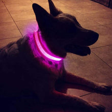 Carica l&#39;immagine nel visualizzatore di Gallery, MASBRILL LED Collare di Cane USB Ricaricabile Sicurezza Lampeggiante Collare di Cane di Base Fibbia Regolabile Mesh Tessitura Fibra Ottica Piatta a Prova di Cane LED Collare Collana per Cane