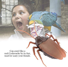 Carica l&#39;immagine nel visualizzatore di Gallery, 3