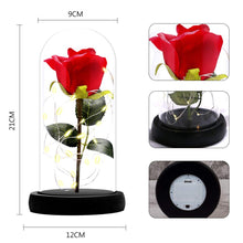 Carica l&#39;immagine nel visualizzatore di Gallery, ASANMU Kit di Rose La Bella e Bestia, Petali Rosa Elegante Cupola di... - Ilgrandebazar
