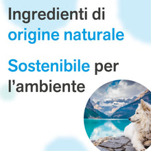 Carica l'immagine nel visualizzatore di Gallery, BactPro - BactSeptic - Pulizia e manutenzione delle fosse biologiche, scioglie gli ingorghi ed elimina cattivi odori - Attivatore Biologico - Polvere 1,3 kg con dosatore