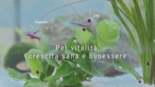 Carica l'immagine nel visualizzatore di Gallery, 8