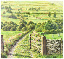 Carica l&#39;immagine nel visualizzatore di Gallery, Taylors of Harrogate Yorkshire, Tè Nero 160 bustine di te - 1 unitá
