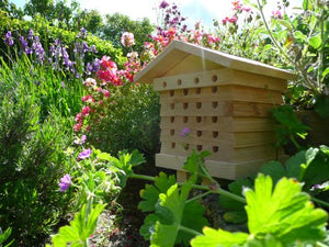 Wildlife World Alveare per api solitarie - Ilgrandebazar