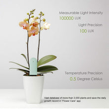 Carica l&#39;immagine nel visualizzatore di Gallery, Wanfei per Xiaomi Flower Care Soil Tester, Intelligent Plant Monitor... - Ilgrandebazar