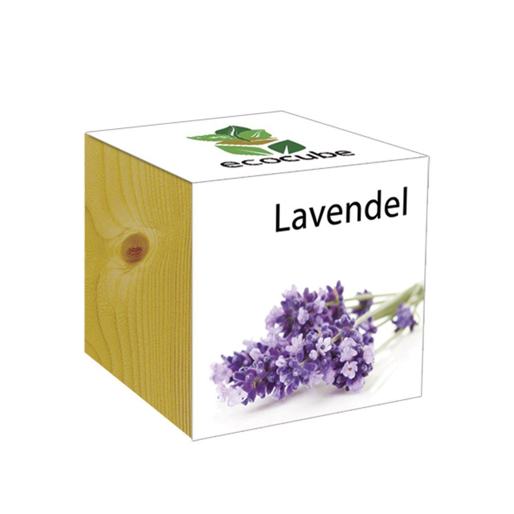 Extragifts ecocube Lavanda - piante nel cubo di legno viola - Ilgrandebazar