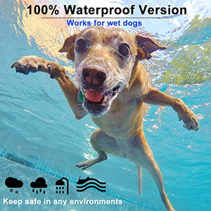 Collare Antipulci Cane, per Cani e Zecche Regolabile 1pack