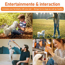 Carica l&#39;immagine nel visualizzatore di Gallery, Focuspet 8 Pezzi Set di Giochi per Cani Cuccioli e Piccola...
