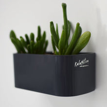 Carica l&#39;immagine nel visualizzatore di Gallery, KalaMitica - vaschetta magnetica 12 cm - Grigio 12 cm, (Piombo) - Ilgrandebazar