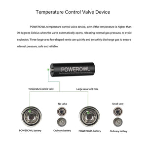Batterie AA Stilo POWEROWL 2800mAh ad Alta 12 Pile, Ricaricabili - Ilgrandebazar