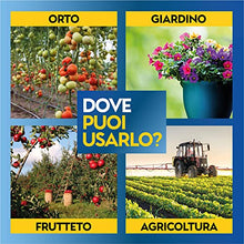 Carica l'immagine nel visualizzatore di Gallery, Albagarden - Bacillus Thuringiensis Kurstaki - Insetticida Piante Biologico Contro Parassiti, Insetti, Larve Dell'orto E Giardino, Polvere x 10 gr