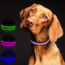Carica l&#39;immagine nel visualizzatore di Gallery, MASBRILL LED Collare di Cane USB Ricaricabile Sicurezza Lampeggiante Collare di Cane di Base Fibbia Regolabile Mesh Tessitura Fibra Ottica Piatta a Prova di Cane LED Collare Collana per Cane