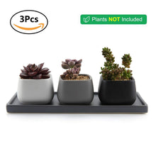 Carica l&#39;immagine nel visualizzatore di Gallery, T4U 7CM Ceramica Moderno Mini Piazza Succulento X-Small, Piccolo Vaso:
