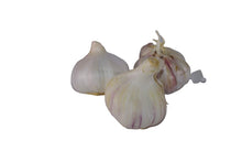 Carica l&#39;immagine nel visualizzatore di Gallery, L&#39;ortolano BA00065 bulbi di aglio rosso da semina varietà Gardos in... - Ilgrandebazar