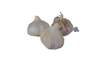 L'ortolano BA00065 bulbi di aglio rosso da semina varietà Gardos in... - Ilgrandebazar