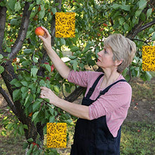 Carica l&#39;immagine nel visualizzatore di Gallery, HellDoler Trappole Appiccicose 50 Pezzi 15cm x 20cm MoscheTrappola 50PCS