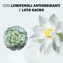 Carica l&#39;immagine nel visualizzatore di Gallery, JOWAÉ Gel Viso Detergente Purificante a Risciacquo con Loto Sacro, per Pelle Mista e Grassa, anche Sensibile, Formato da 200 ml