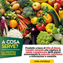 Carica l'immagine nel visualizzatore di Gallery, Albagarden - Olio Di Neem Per Piante 1 Litro - Naturale Concentrato Contro Insetti Funghi Cocciniglia, Acari Afidi Pulci, Cimici, Pidocchi, Vespe E Calabroni - Spray Pronto Uso