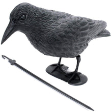 Carica l&#39;immagine nel visualizzatore di Gallery, BREMA Corvo da Giardino, Nero, 38 cm - Ilgrandebazar