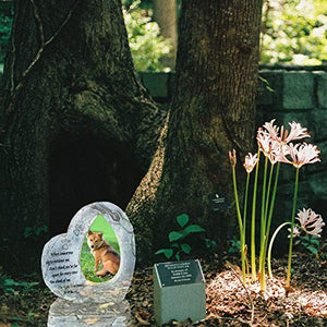 Meiyaa, pietra commemorativa per animali domestici, a forma di cuore, B