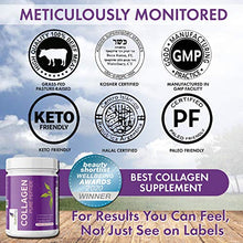 Carica l'immagine nel visualizzatore di Gallery, Collagene Idrolizzato Polvere da Bovini - Proteine Integratore - Adatto a...
