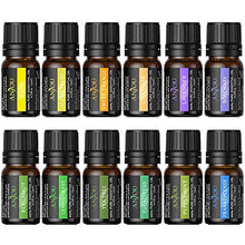 Carica l&#39;immagine nel visualizzatore di Gallery, Anjou Olio Essenziale Set di 12 per Aromaterapia, Oli Essenziali Puri...