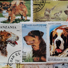 Carica l&#39;immagine nel visualizzatore di Gallery, Dogs of the World-Timbro, collezione, Souvenir con animali, cane... - Ilgrandebazar
