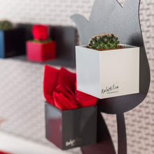 Carica l&#39;immagine nel visualizzatore di Gallery, Kalamitica 60035-900-001 Set da 3 Cubi Magnetici, Resina 6 cm, Toni Bianchi - Ilgrandebazar