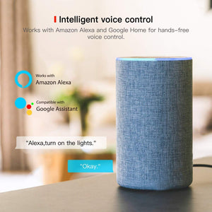 Presa Intelligente WiFi Smart Plug 16A 3300W TECKIN Compatibile...