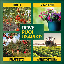 Carica l&#39;immagine nel visualizzatore di Gallery, Albagarden - Fungicida Piante Per Bolla Del Pesco Per Agricoltura Biologica - Lecitina Funghicida Naturale Per Trattamento di Oidio Peronospora Alternaria - Polvere Solubile X 100 gr