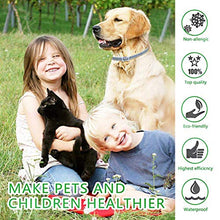 Carica l&#39;immagine nel visualizzatore di Gallery, PROZADALAN [2 PCS] Collare Antipulci Cane, Antiparassitario per Cani per...