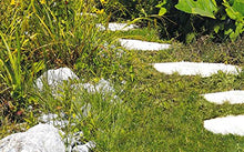 Carica l&#39;immagine nel visualizzatore di Gallery, Einhell GC-CG 3410455 Forbici a batteria per erba ed arbusti, 420 W, 3.6 V,...