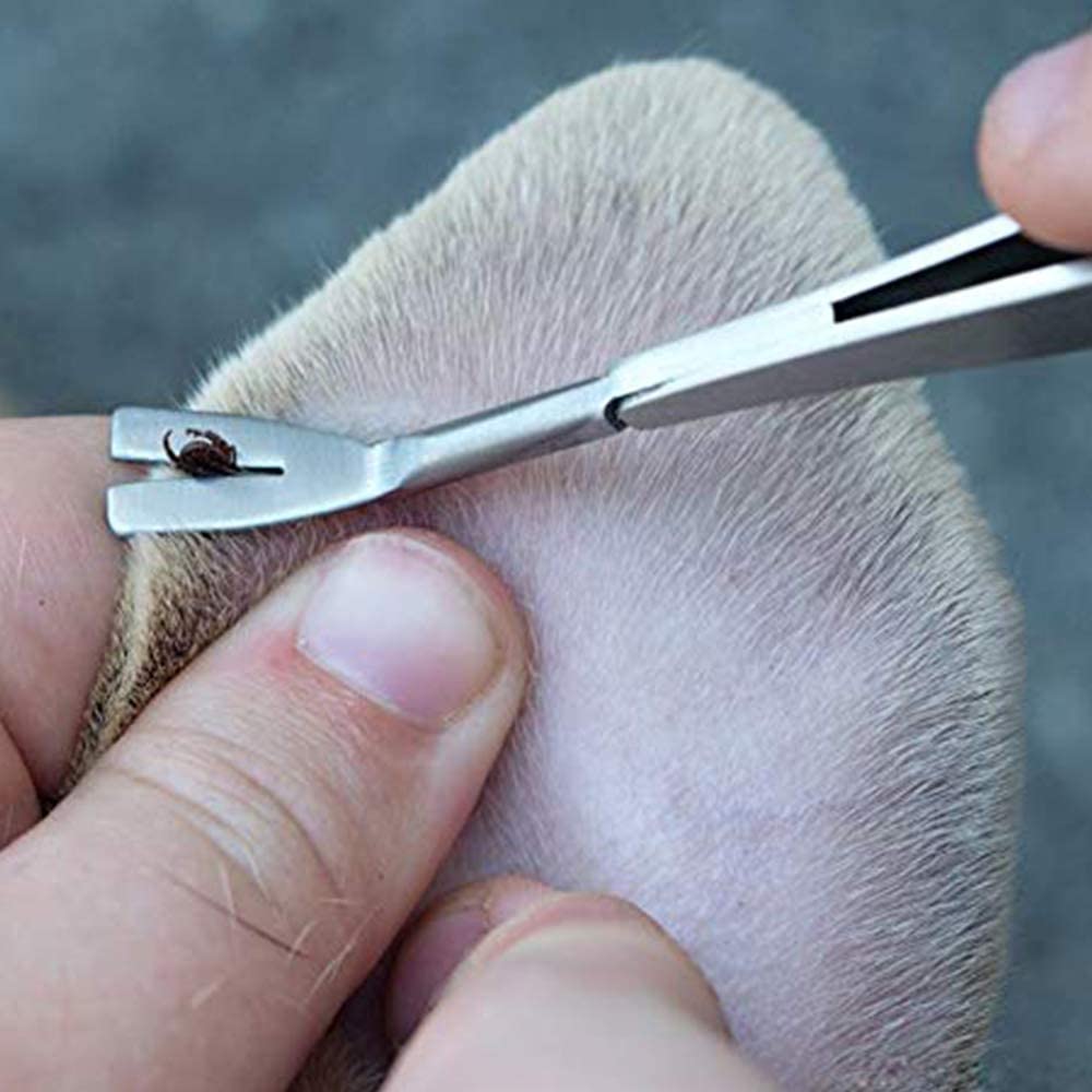 Pinza Per Zecche Per Animali - Acciaio Inossidabile Professionale, Per Rimozione Sicura Su Cani E Gatti