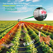 Carica l&#39;immagine nel visualizzatore di Gallery, Repellente Gatti, Homtiky Ultrasuoni Energia Solare IP66...