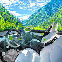 Carica l'immagine nel visualizzatore di Gallery, Tesla - Set di filtri dell'aria per cabina modello 3